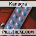 Kanagra viagra3